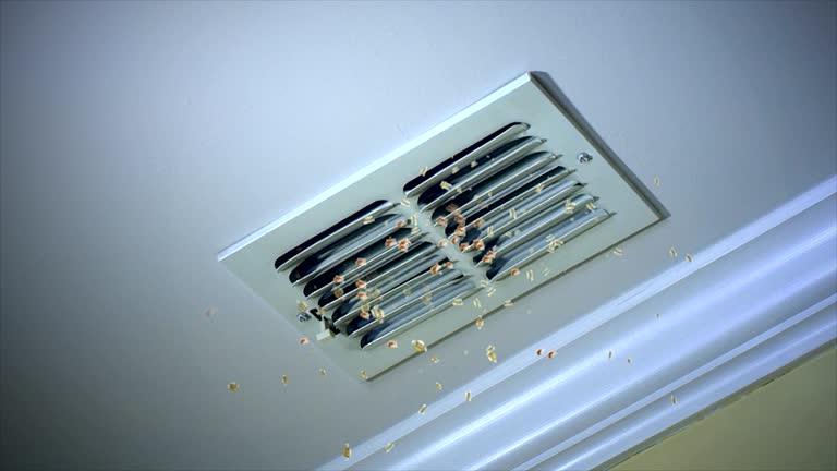Best Air Duct Cleaning Near Me  in Belmont, NC